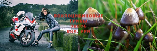 кристаллы Елабуга