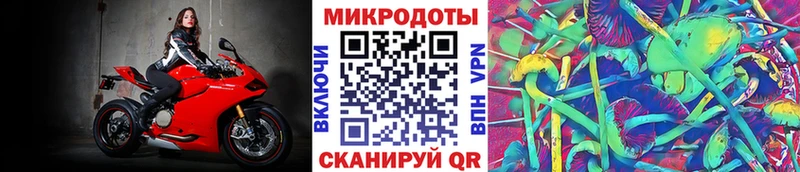 Псилоцибиновые грибы Cubensis  Купить закладки  Карасук 